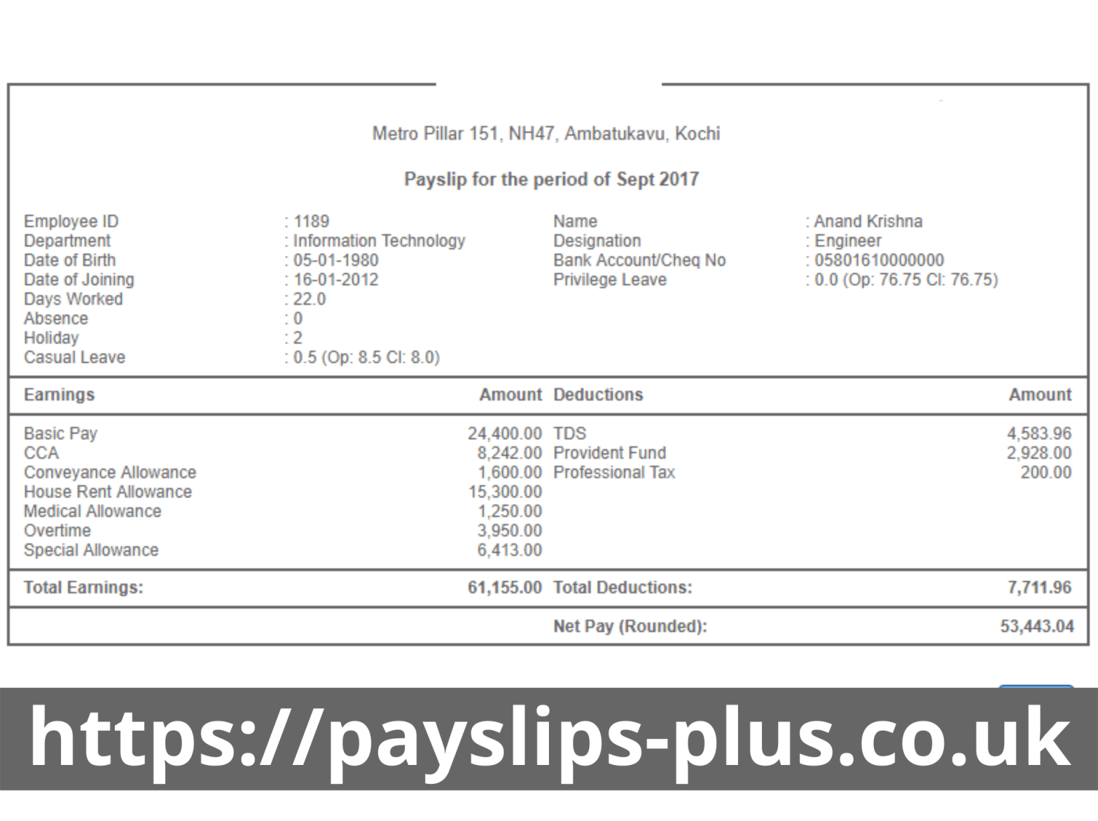 What is the Correct Payslip Format? – Business Intelligence Analyst
